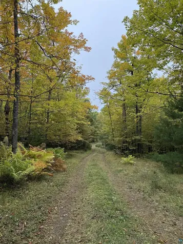 63380 Trout Lake Road Iron River WI 54847