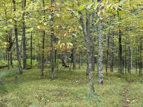 63380 Trout Lake Road Iron River WI 54847