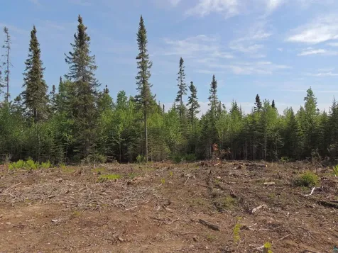 3x Skye Ridge Grand Marais MN 55604