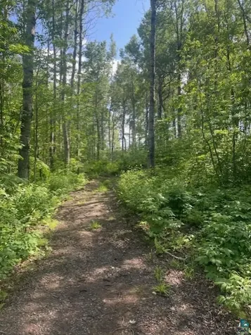5186 Hermantown Road Hermantown MN 55811