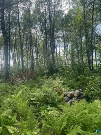 5186 Hermantown Road Hermantown MN 55811