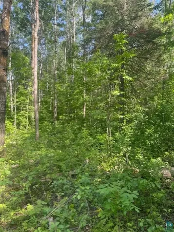 5186 Hermantown Road Hermantown MN 55811
