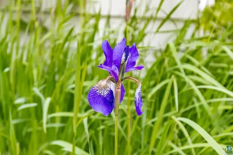 3801 W 5th Street Duluth MN 55807