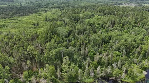 Tbd 40n Rollick Creek Crane Lake MN 55725