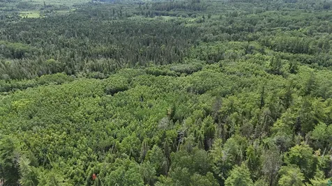 Tbd 40n Rollick Creek Crane Lake MN 55725