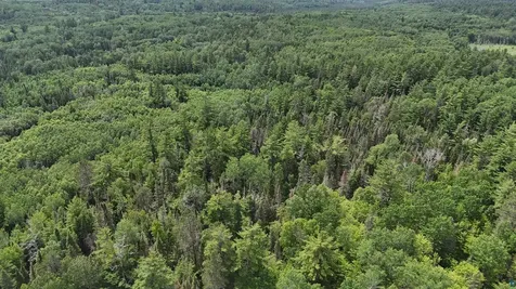 Tbd 40n Rollick Creek Crane Lake MN 55725