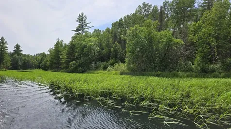 Tbd 40n Rollick Creek Crane Lake MN 55725