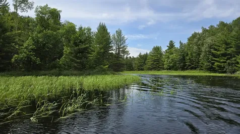 Tbd 40n Rollick Creek Crane Lake MN 55725
