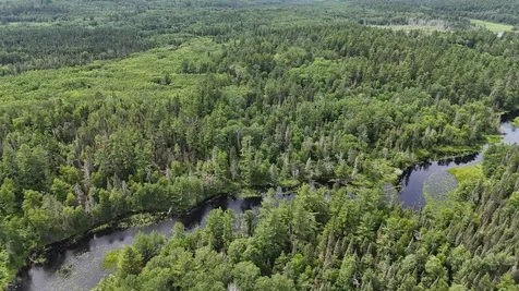 Tbd 40n Rollick Creek Crane Lake MN 55725