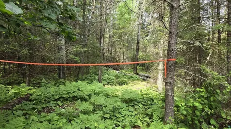 Tbd 40n Rollick Creek Crane Lake MN 55725