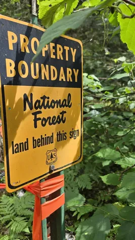 163 Rollick Creek Crane Lake MN 55725