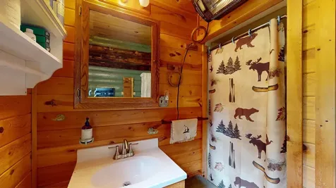 163 Rollick Creek Crane Lake MN 55725