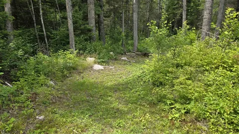 163 Rollick Creek Crane Lake MN 55725