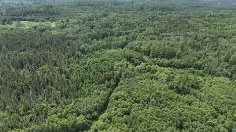 163 Rollick Creek Crane Lake MN 55725