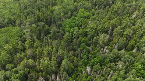 163 Rollick Creek Crane Lake MN 55725