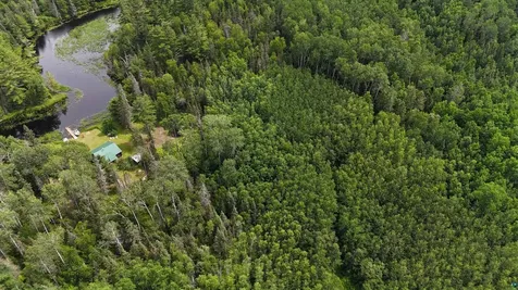 163 Rollick Creek Crane Lake MN 55725