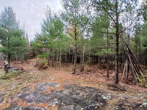 Tbd Echo Trail Orr MN 55771