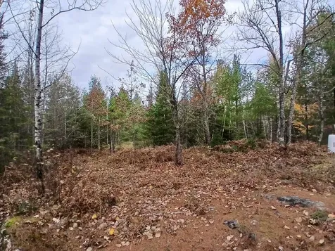 Tbd Echo Trail Orr MN 55771