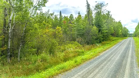Tbd Comet Road Embarrass MN 55732