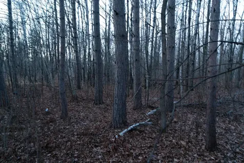 87927 Alder Loop Sturgeon Lake MN 55783