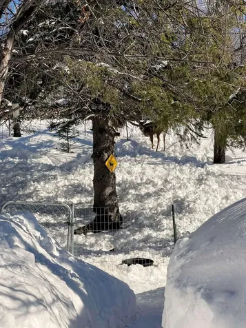 22 Hays Creek Silver Bay MN 55614