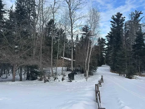 1302 Old North Shore Road Duluth MN 55804