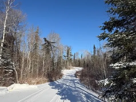 1152 Fernberg Road Ely MN 55731-0000