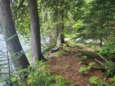 192 W Deeryard Lake Road Lutsen MN 55612