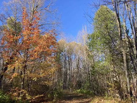 192 W Deeryard Lake Road Lutsen MN 55612