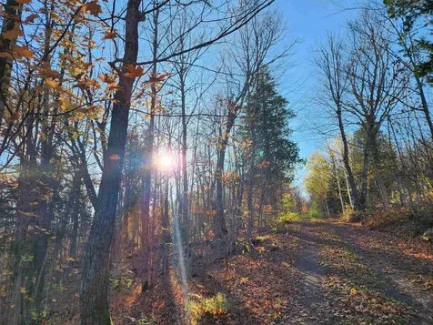 192 W Deeryard Lake Road Lutsen MN 55612