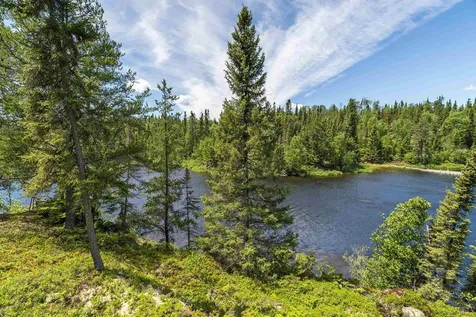 185 Sag Lake Trail Grand Marais MN 55604