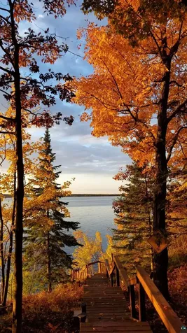 6944 Bear Island Road Duluth MN 55803