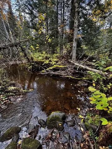 1774 Highway 2 Two Harbors MN 55616