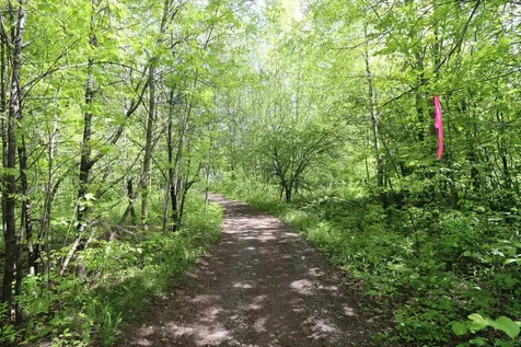 Lots 19 & 38 Eagle Run Bayfield WI 54814