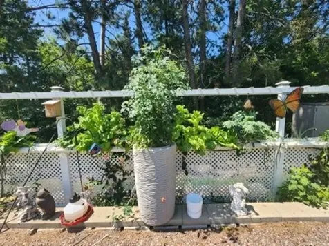 925 14th Street Cloquet MN 55720-2536