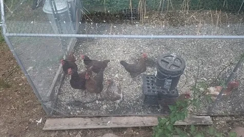 925 14th Street Cloquet MN 55720-2536