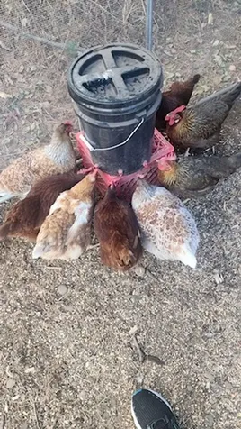 925 14th Street Cloquet MN 55720-2536