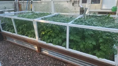 925 14th Street Cloquet MN 55720-2536