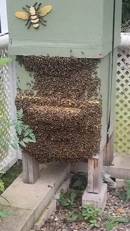 925 14th Street Cloquet MN 55720-2536