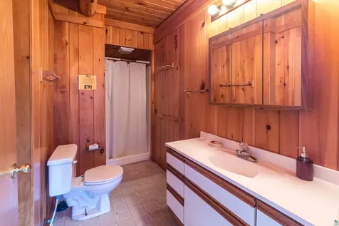 10418 Ash River Trail Orr MN 55771
