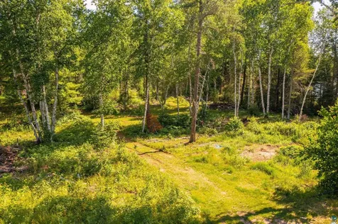 3420 Dewees Road Babbitt MN 55706-0000