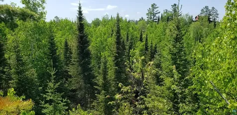 14632 Moose Lake Road Ely MN 55731