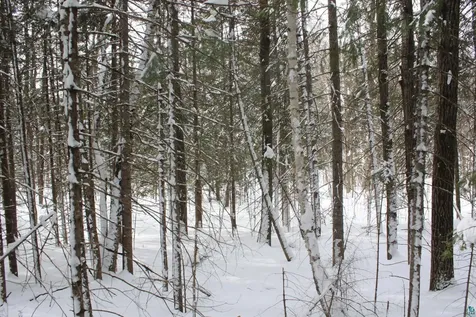7195 E State Highway 13 South Range WI 54874