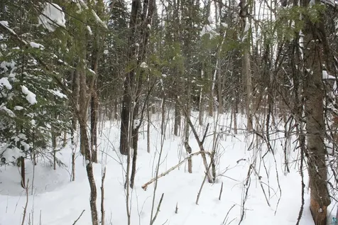 7195 E State Highway 13 South Range WI 54874