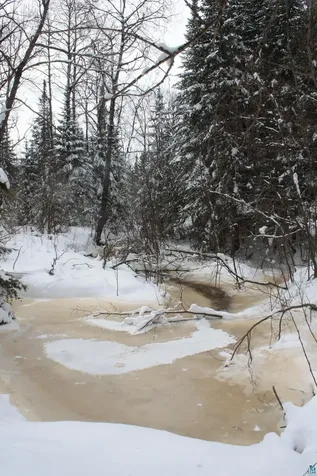 7195 E State Highway 13 South Range WI 54874