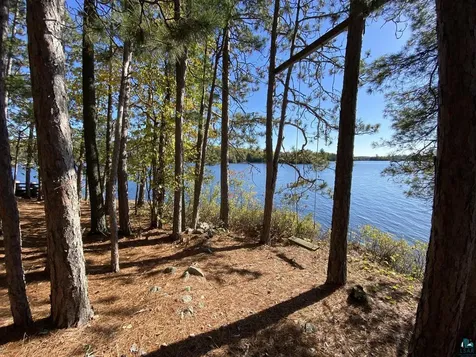8481 Wakemup Narrows Cook MN 55731