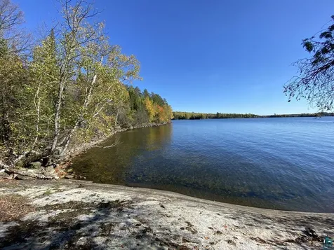 8481 Wakemup Narrows Cook MN 55731