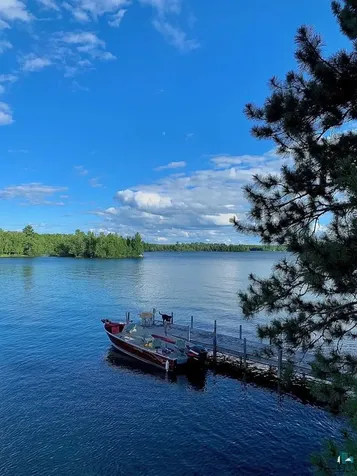 8481 Wakemup Narrows Cook MN 55731
