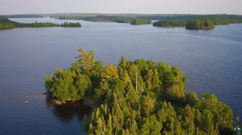 8481 Wakemup Narrows Cook MN 55731