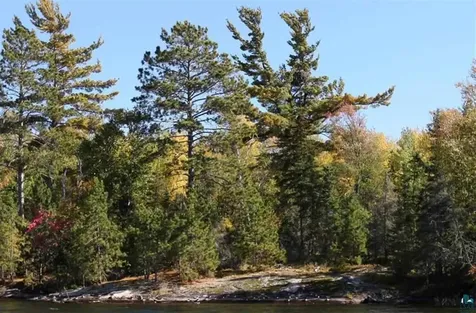 8481 Wakemup Narrows Cook MN 55731